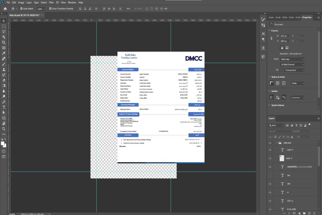 Modèle Word et PDF de licence commerciale des Émirats arabes unis à Dubaï, version 2 template